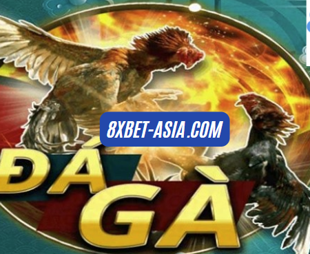 Đá Gà 8xbet Trực Tuyến Tốc Độ Cao Dành Cho Cao Thủ