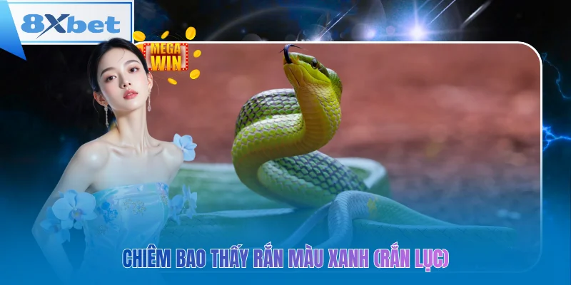 Chiêm bao thấy rắn màu xanh (Rắn lục)